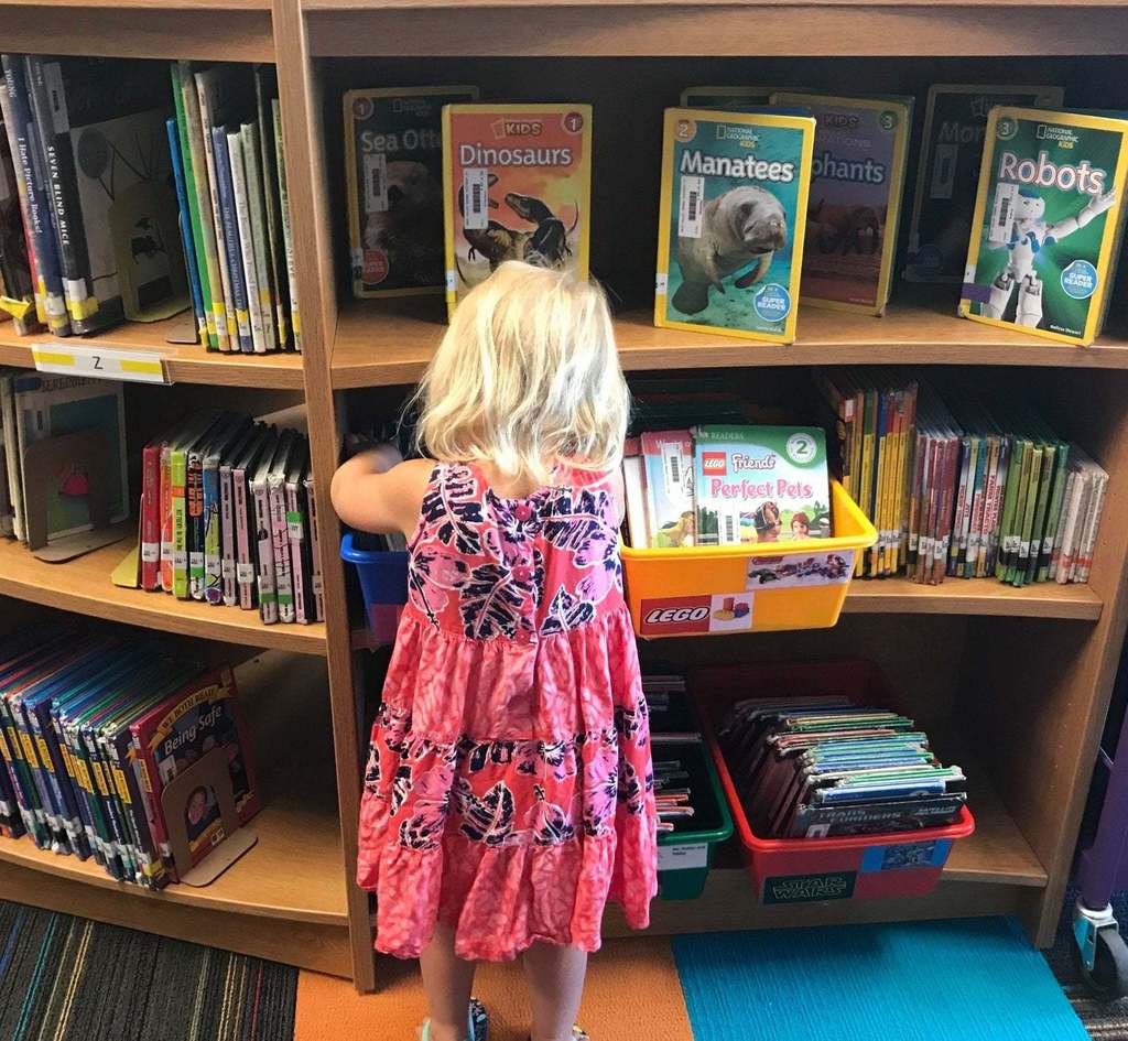 reader